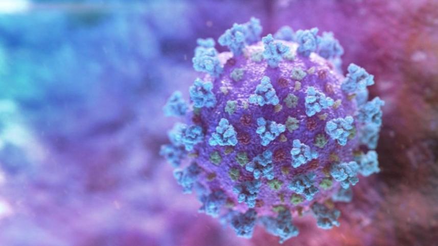 coronavirus-covid19_0.jpg