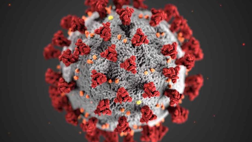 Coronavirus.jpg