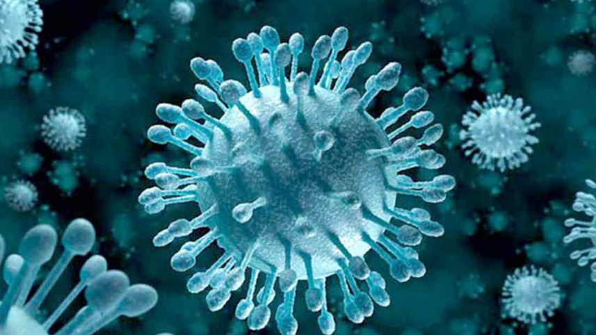 Coronavirus.jpg