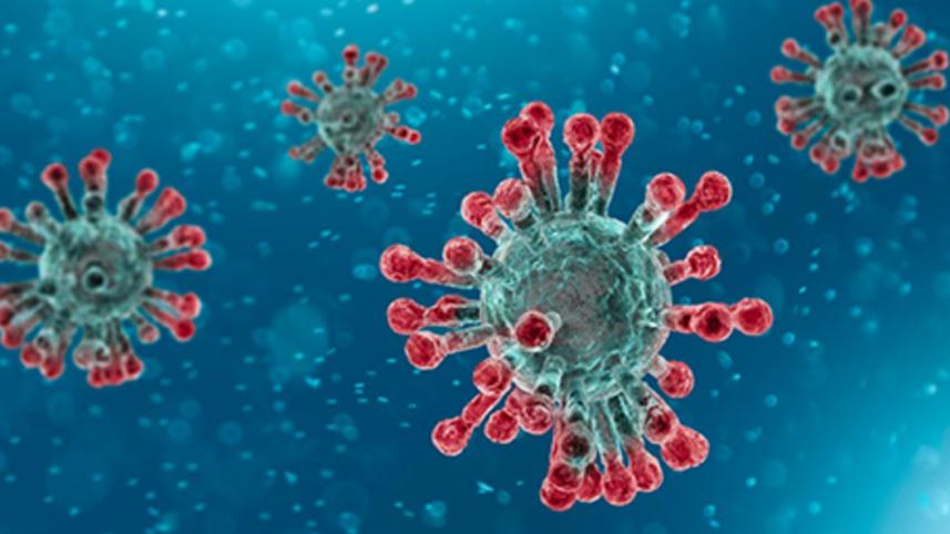 coronavirus
