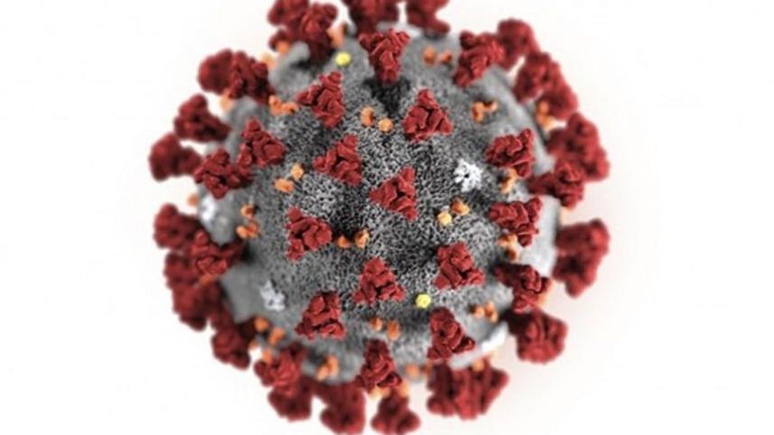 coronavirus 4.jpg