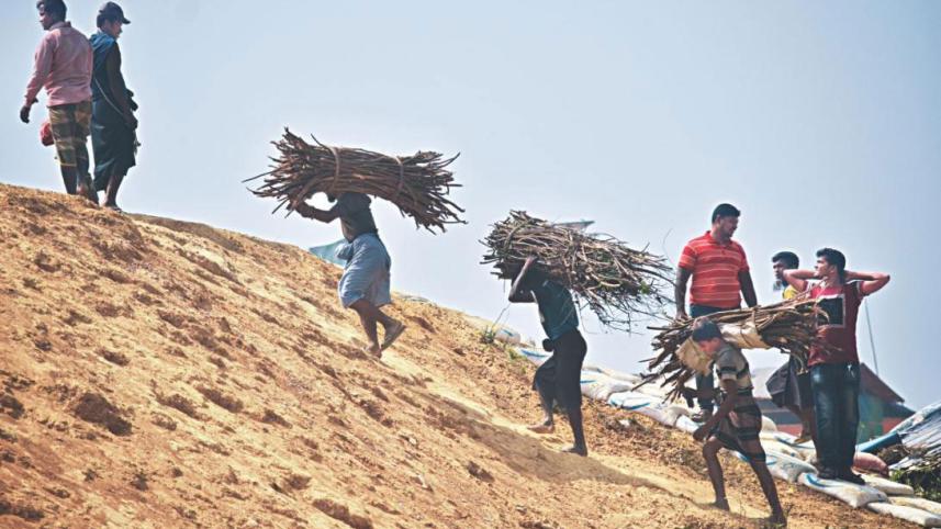 coxs_bazar_forest_in_danger-1.jpg