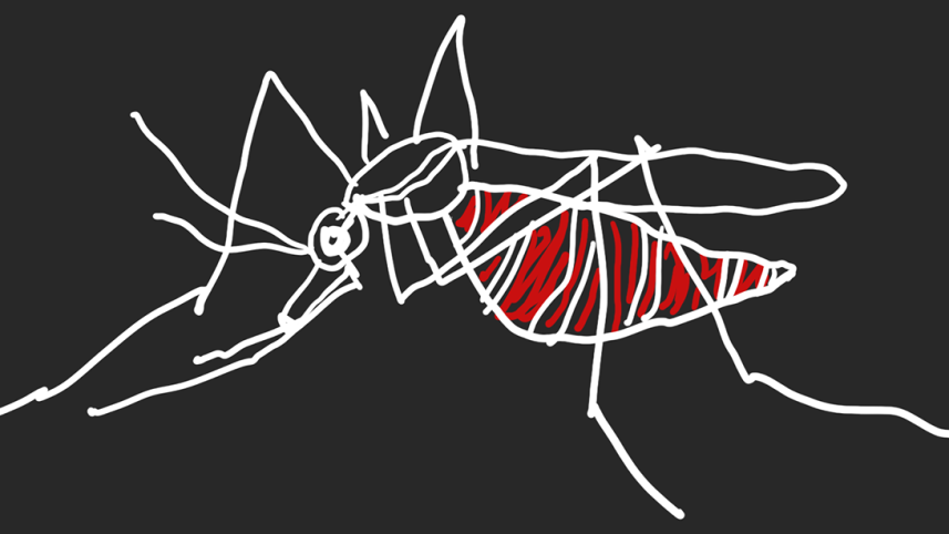Dengue
