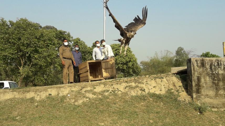 Dinajpur Birganj Sokun Photo-01.jpg
