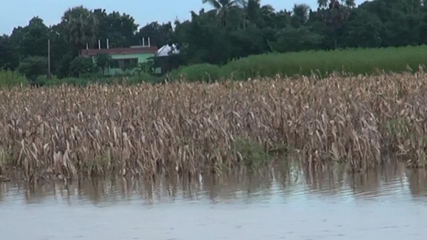 Faridpur Ag- Flood Photo 02 (1).jpg