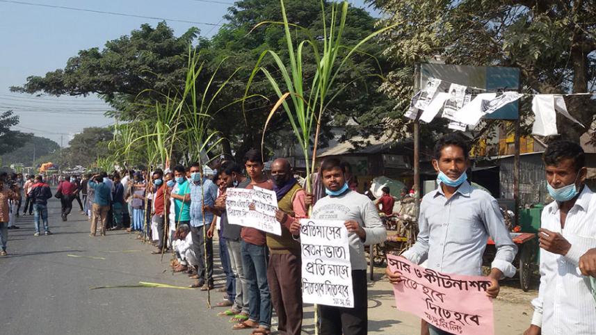 Faridpur suger mill labours.jpg