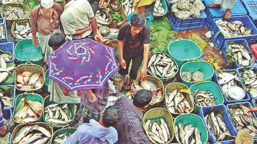 fisheryghat_1.jpg