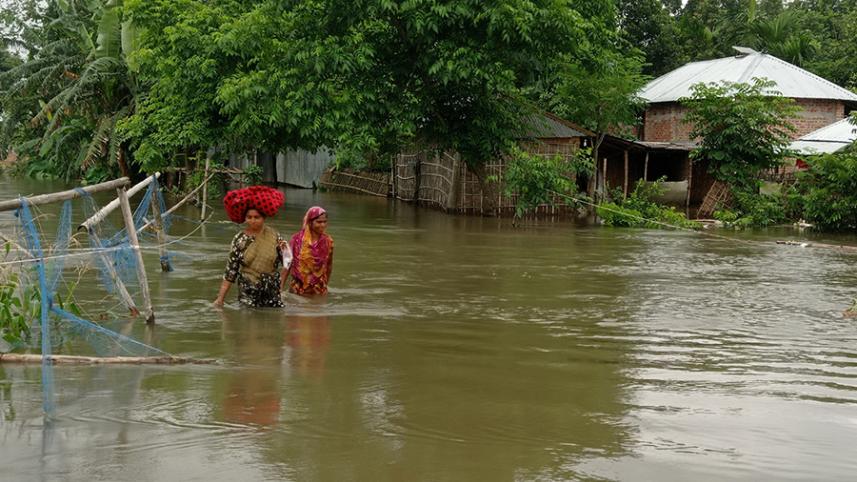 flood.jpg