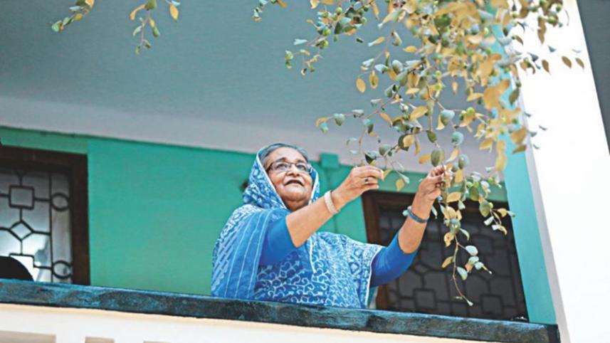 hasina_a_daughters_tale_1.jpg