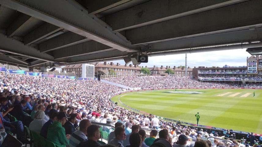 ICC cricket world cup fan