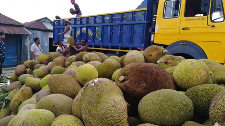 jackfruit.jpg