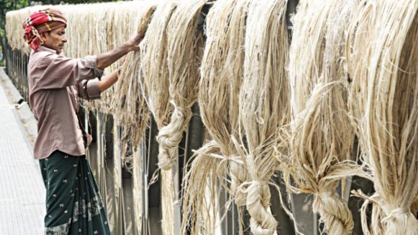 jute_31.jpg