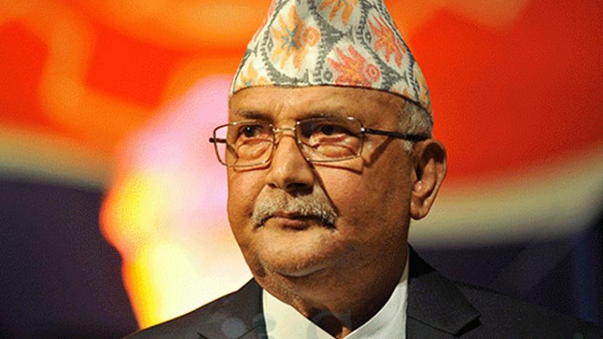 kp oli.jpg