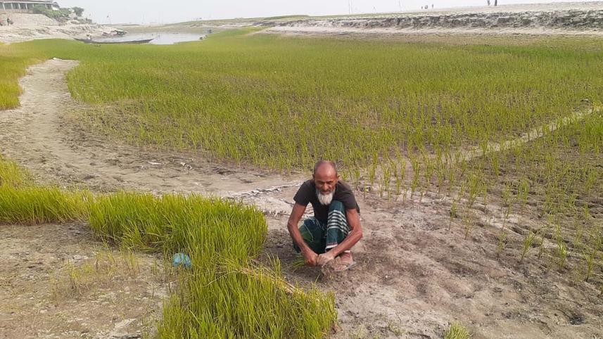 Kurigram Brahmaputra char farmer.jpg