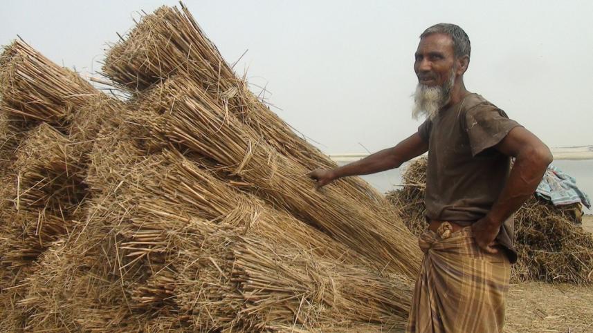 kurigram_catkin_growers.jpg