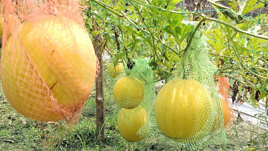 Kurigram college students-01.jpg