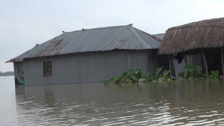 Kurigram flood-02 (28.06).jpg