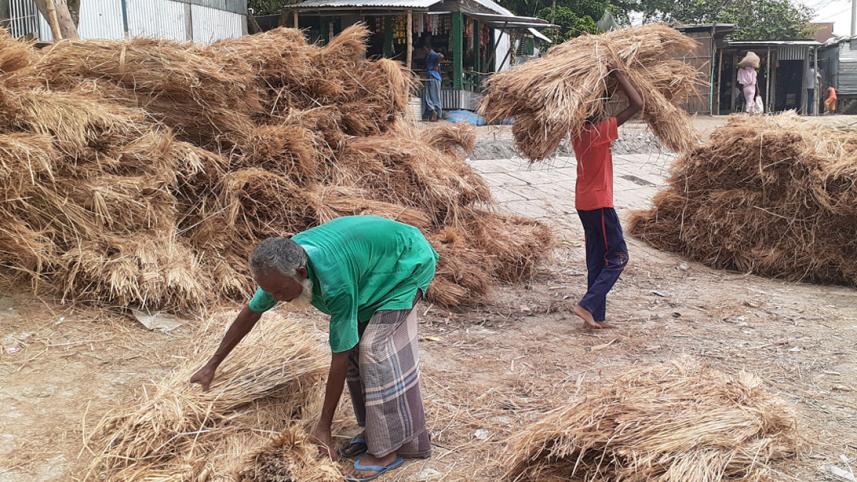 Kurigram_Straw_9Sep20.jpg