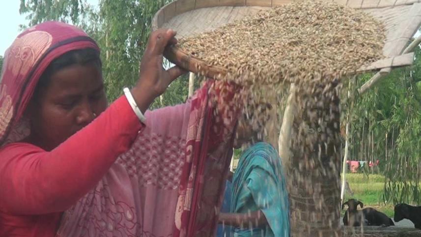 Lalmonirhat-rice-prices.jpg