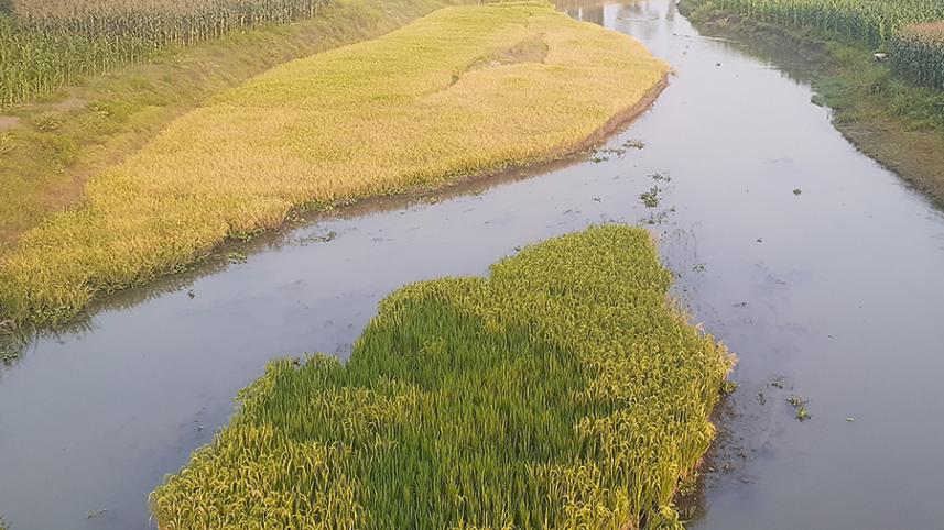 lalmonirhat.jpg