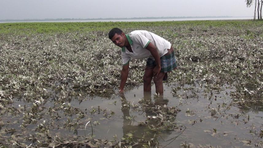 lalmonirhat.jpg