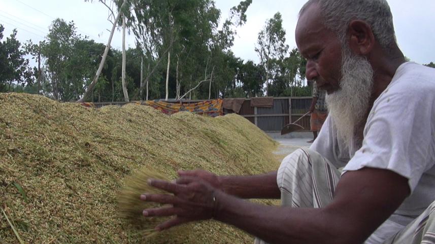 Lalmonirhat Farmer Mantu Mandal