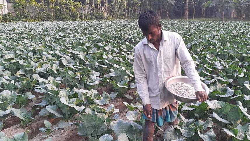 Lalmonirhat_TSP_24Nov20.jpg