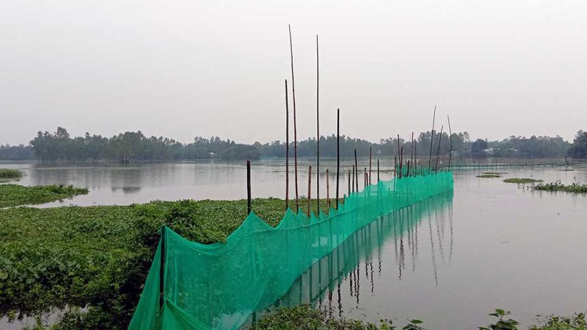 Manikganj-fisheries.jpg