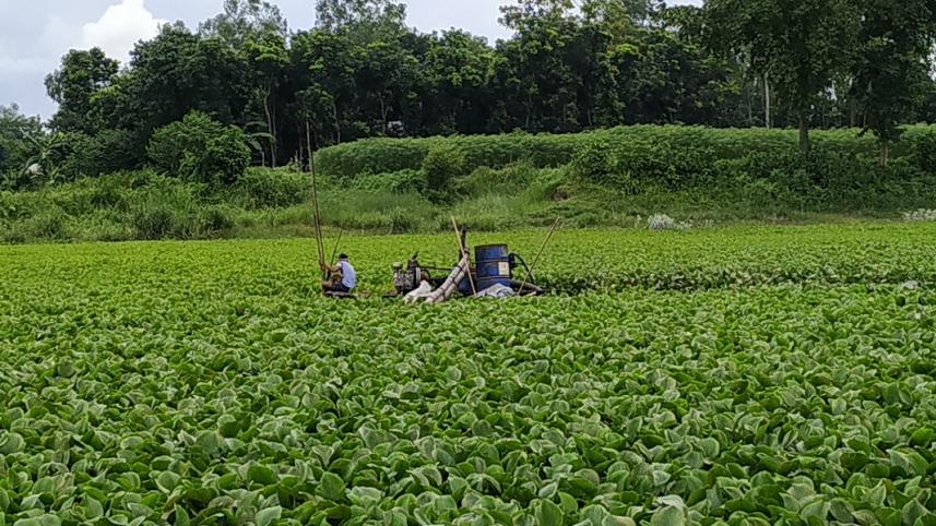 Manikganj illegal derdging-2.jpg