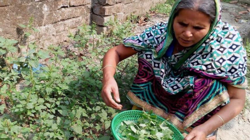 Manikganj veg.jpg