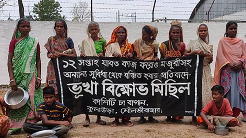 মৌলভীবাজার.jpg