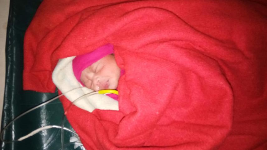 newborn.jpeg