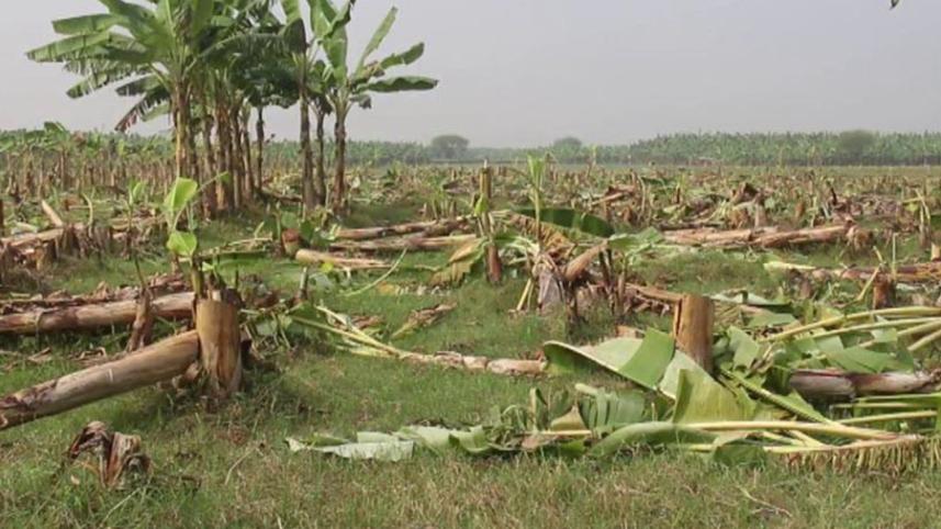 pabna.jpg
