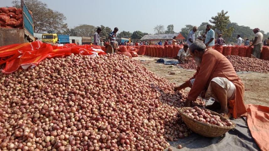 Pabna onion photo-2.jpg