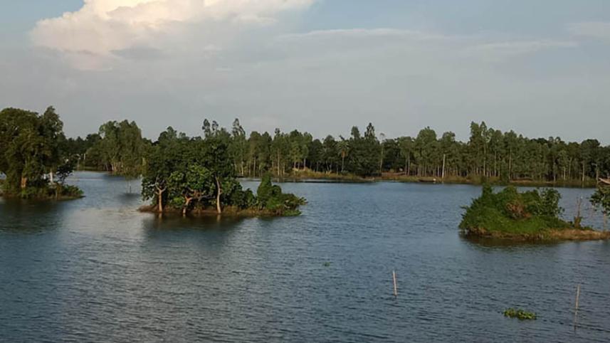 Pabna Photo (Beauty in Chalanbeel)-9.jpg