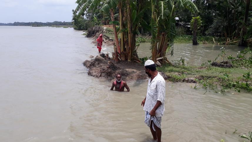 Patuakhali ampan.jpg