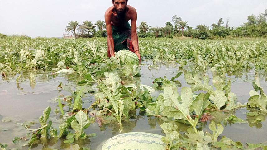 Patuakhali Pic 1138 (03.04.21) (1).jpg
