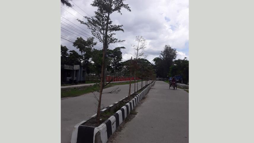 Patuakhali_Road_Divider.jpg