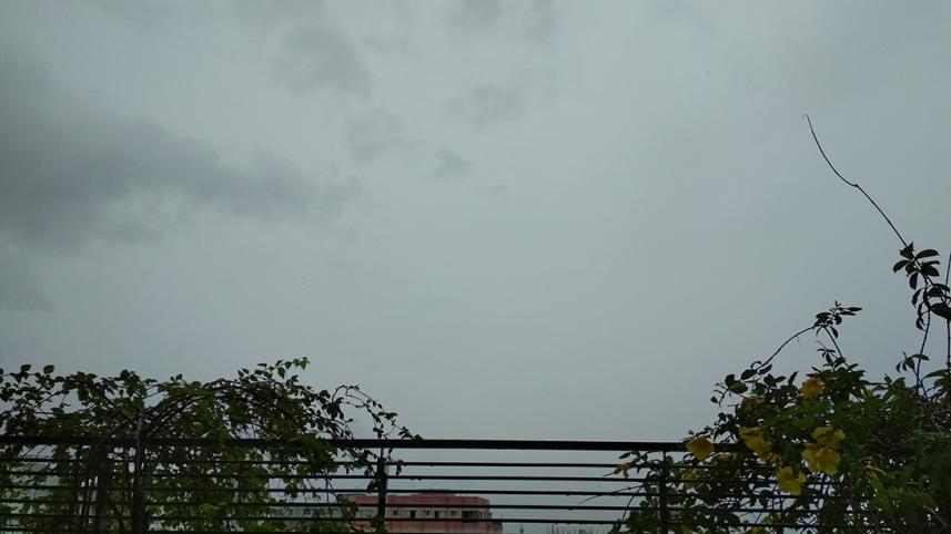 Rain