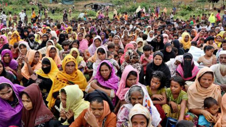 rohingya crisis