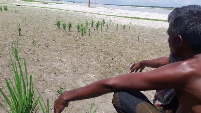 Sands cover farmland