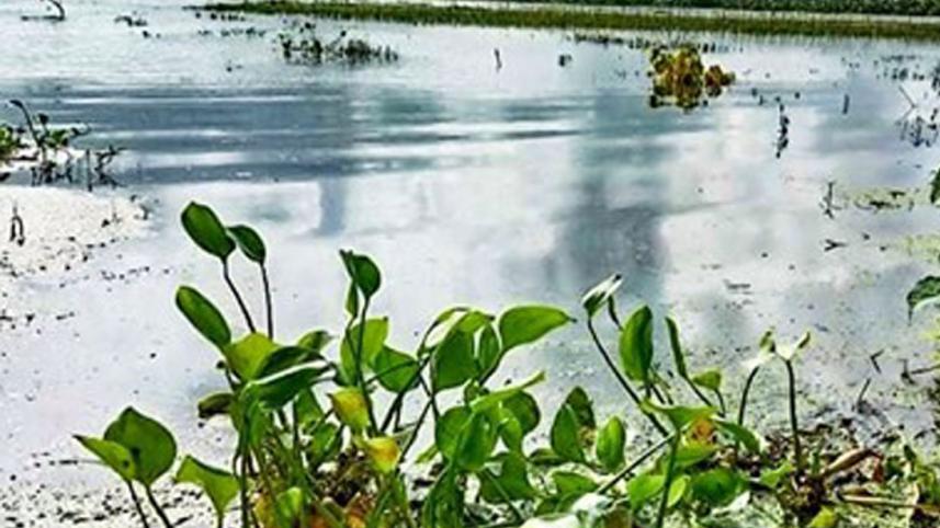 Sharsha_Flood_11Aug20.jpg