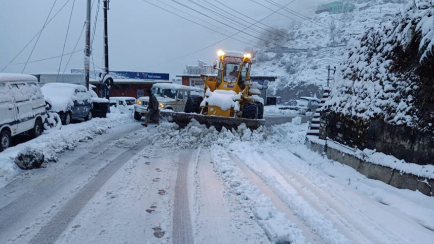 shimla