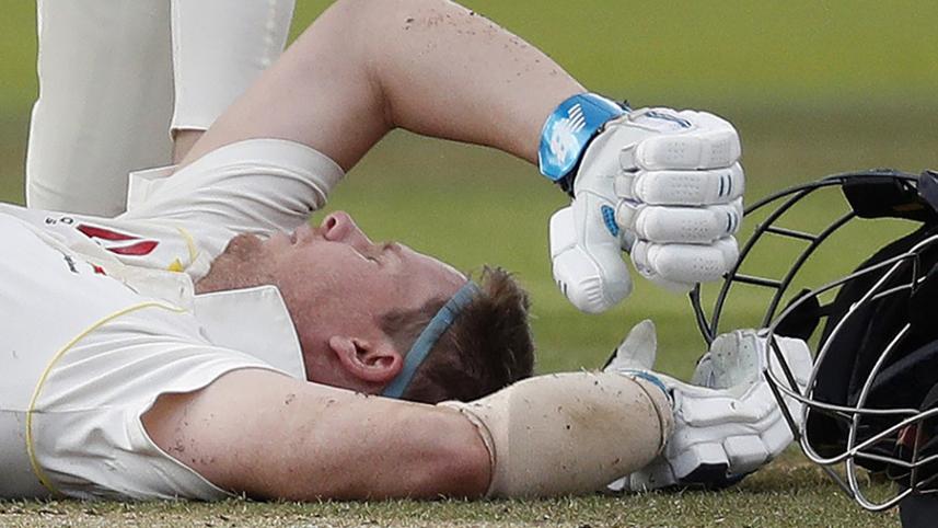 steve smith