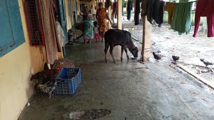 Sunamganj Flood 15.jpg