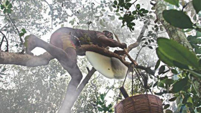 sundarban honey.jpg