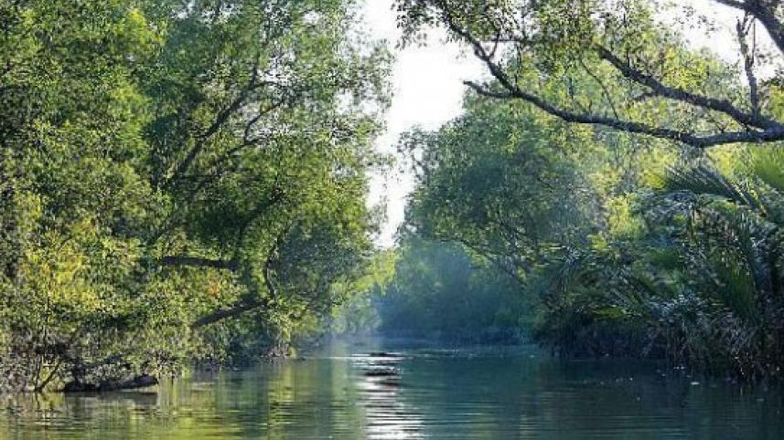 sundarbans