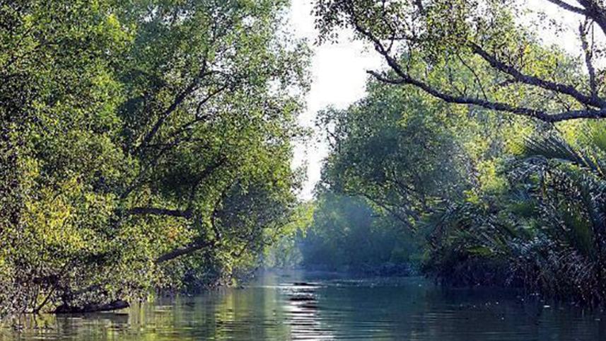 sundarbans.jpg