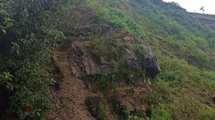 Sylhet Eocene Epoch Limestones (LARGE FILE) (3).jpg