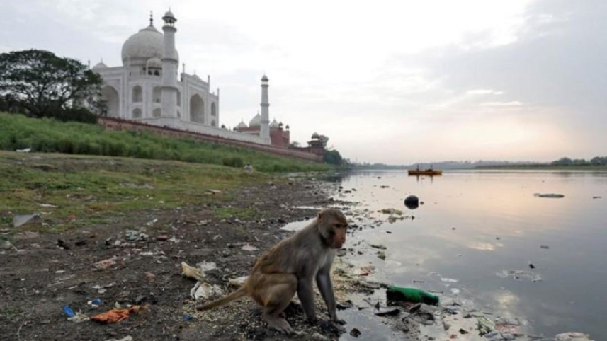 taj_reuters.JPG